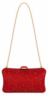 Damonte Closure Evening Bag